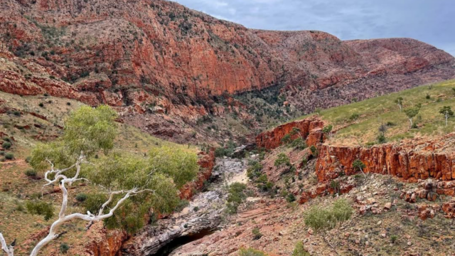 Larapinta Trail